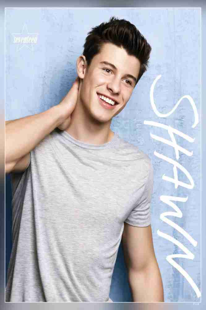 販売 shawn mendes ポスター