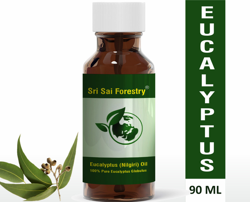 Eucalyptus Oil In Urdu