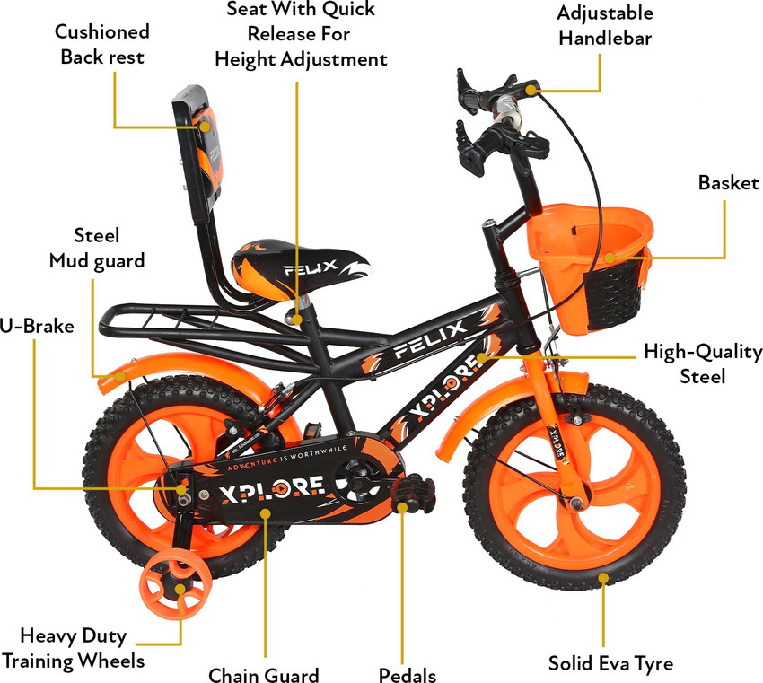 Avon novio cycle price sales