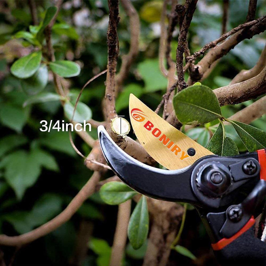 Plant store cutter tool