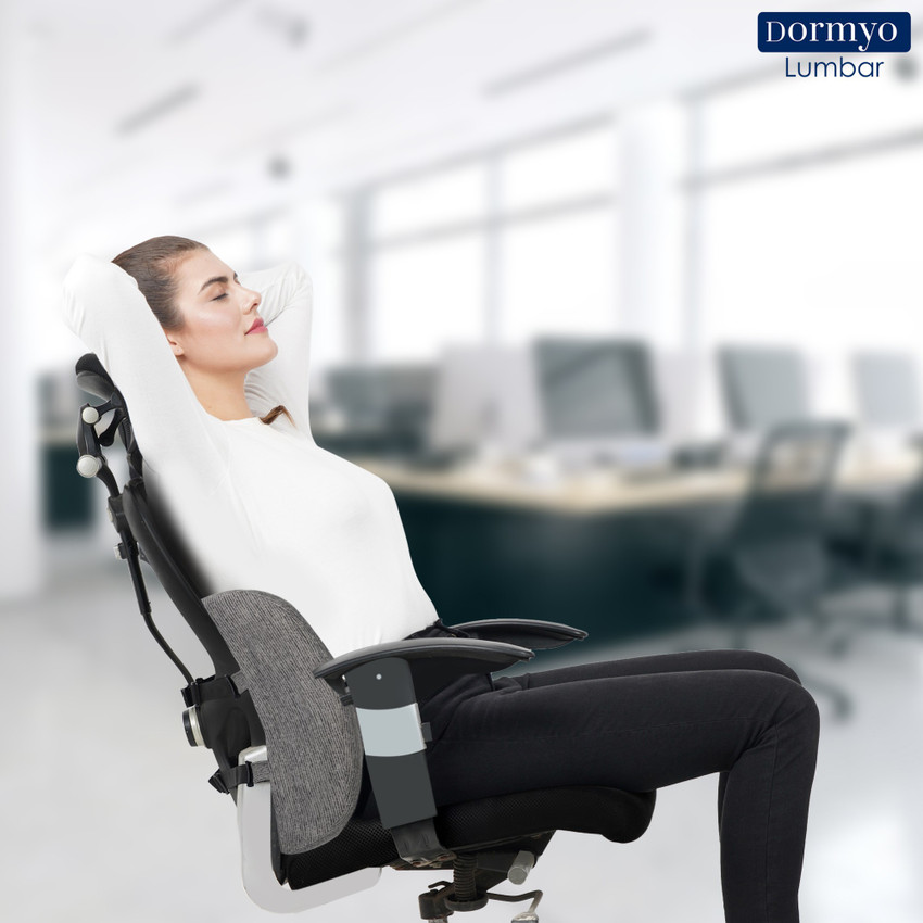 Orthopedic back support hotsell for chair