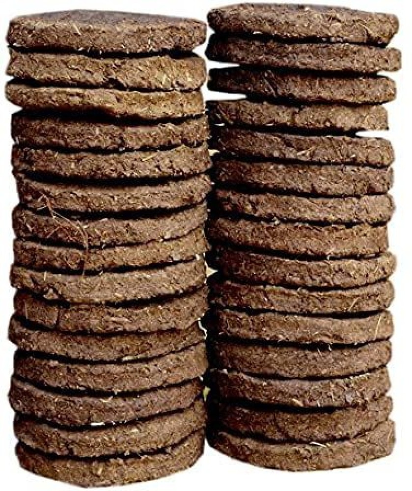 Top more than 95 cow dung cake flipkart latest - in.daotaonec