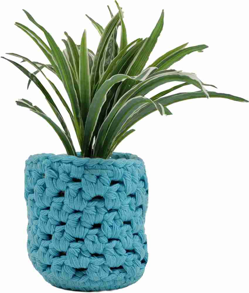 NUEVOSGHAR Planter pot cover Plant Container Set Price in India - Buy  NUEVOSGHAR Planter pot cover Plant Container Set online at