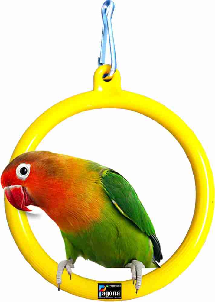 Parakeet cheap toys walmart