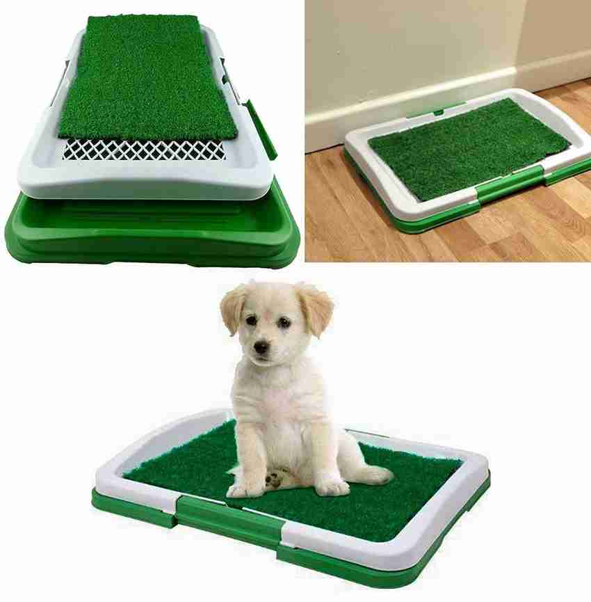 Pet potty tray top