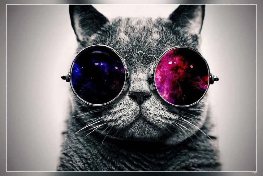 Cat Glasses Space Abstract Matte Finish Poster Paper Print