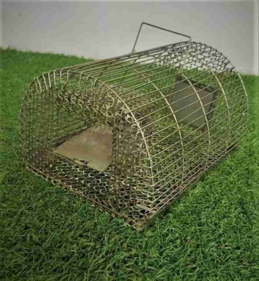 Live Rodent Trap (Mouse) Wire Cage