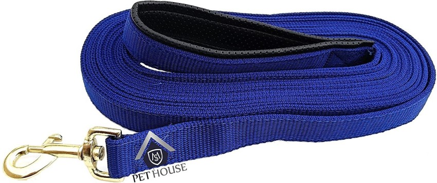 Dog leash best sale 10 ft