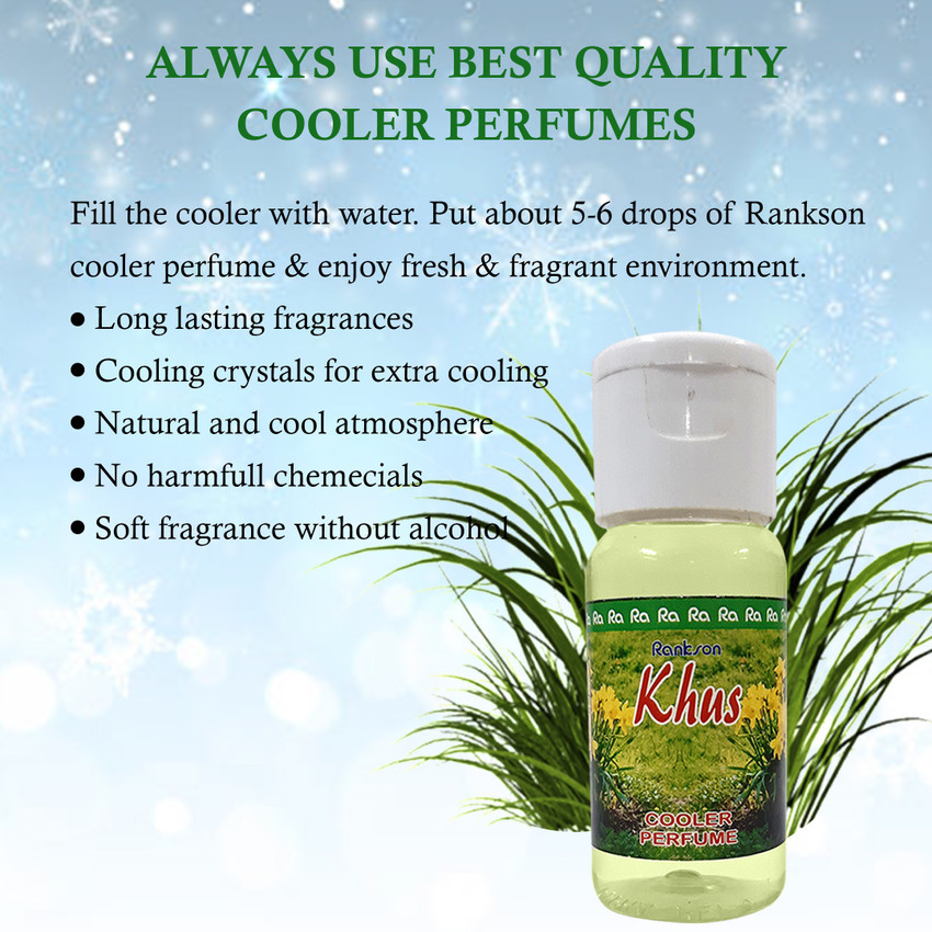 Cooler perfume 2025 flipkart
