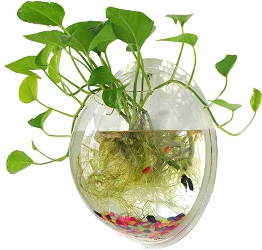NEW! WALL MOUNTED FISH TANK - BETTA BUBBLE AQUARIUM - WITH PLANT, ROCKS AND  MORE