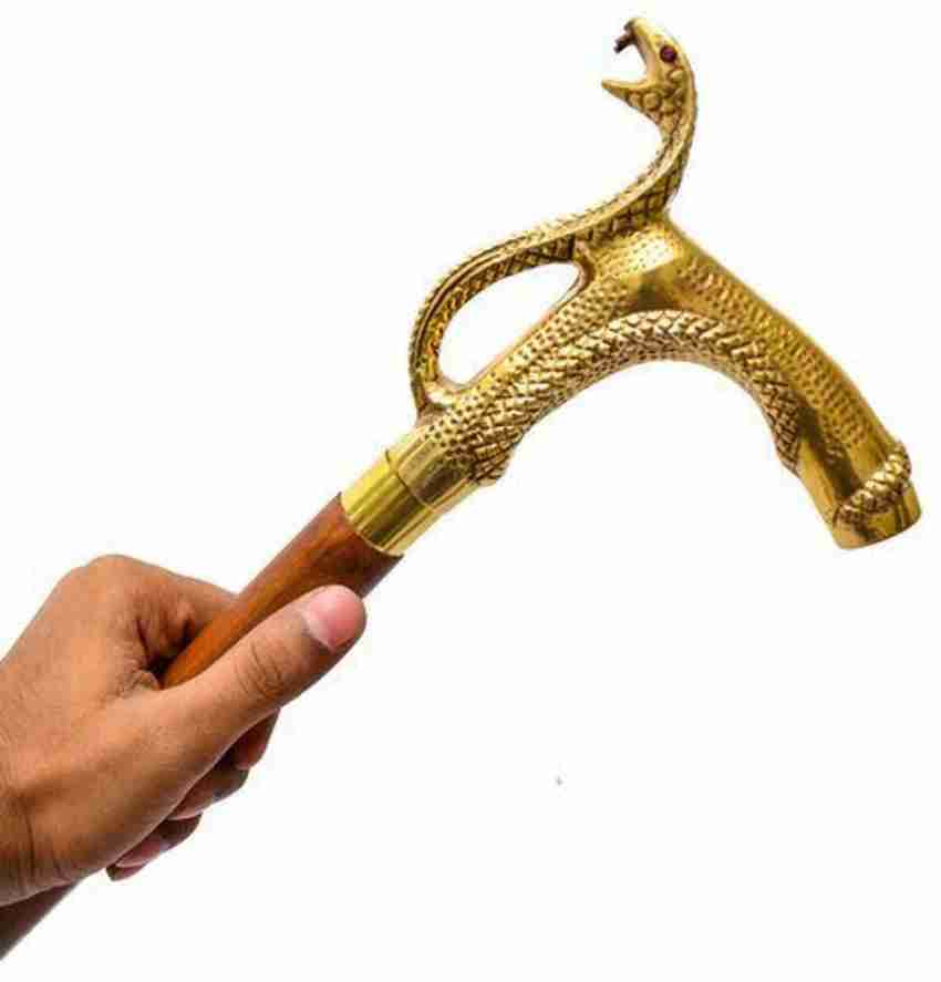 Anaconda online walking pole