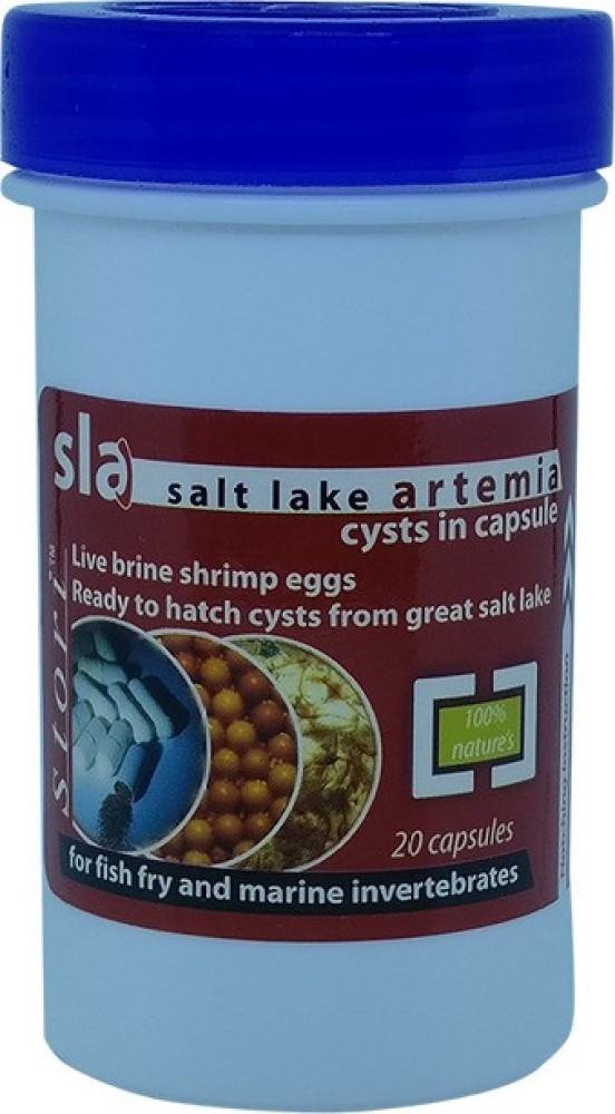 Artemia Brine Shrimp - Live