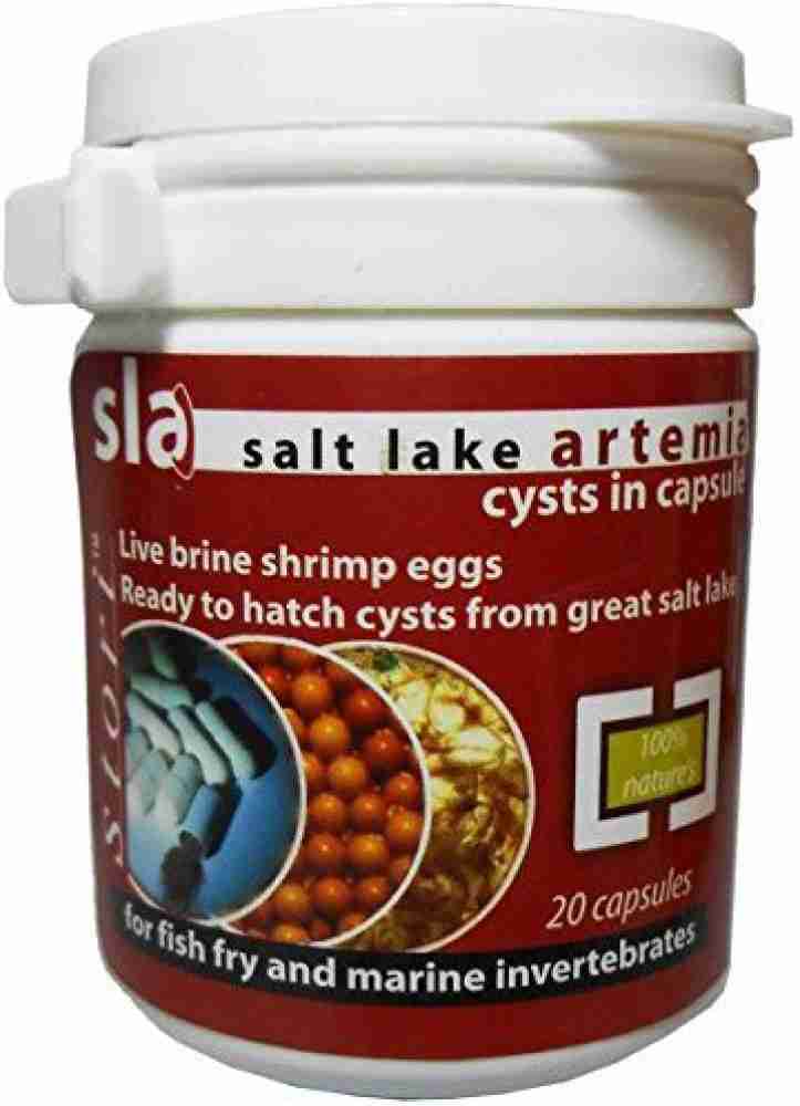 VAYINATO Aquatic Remedies Salt Lake Artemia Live brine shrimp eggs, (20  Capsules) Shrimp 0.05 kg Dry New Born Fish Food
