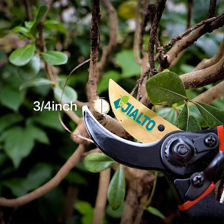 Plant scissors sales