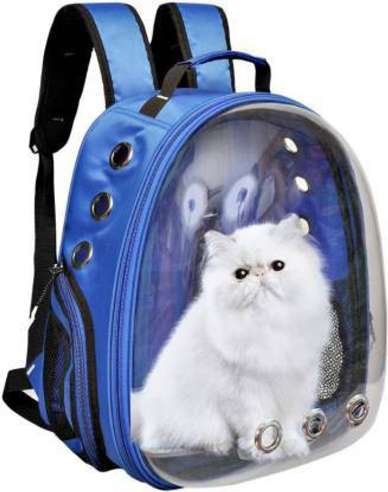 Transparent bag for cat hot sale