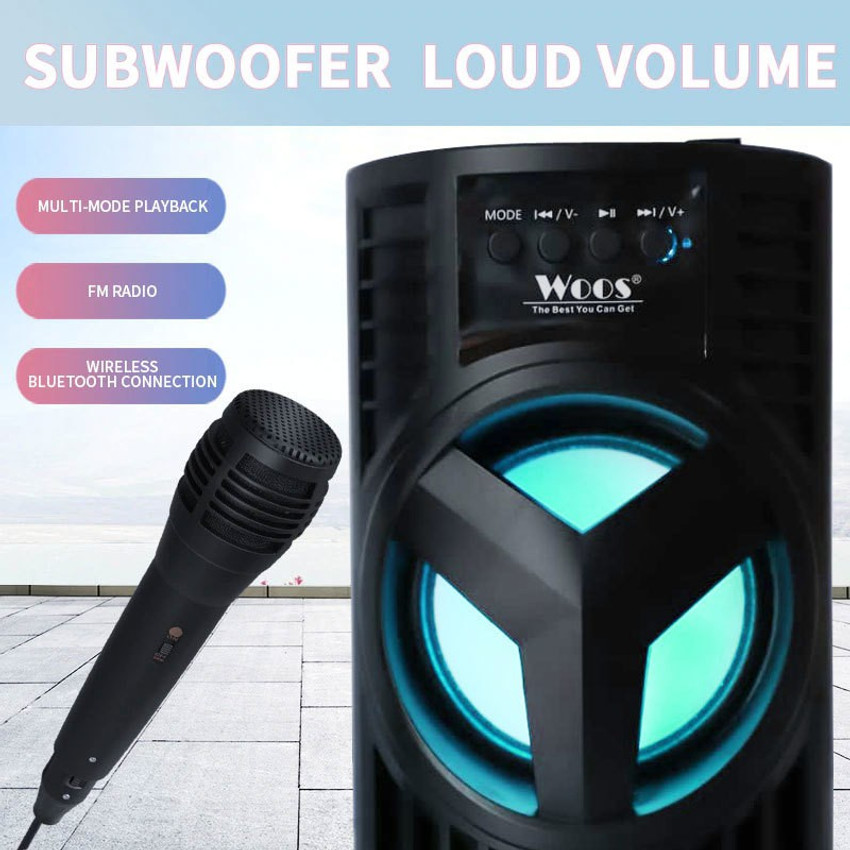 Portable microphone and speaker best buy outlet