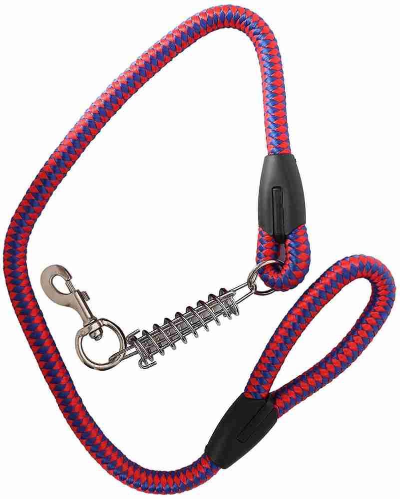 Shops spring leash