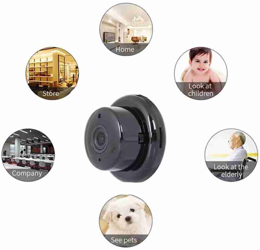 indoor cctv for pets