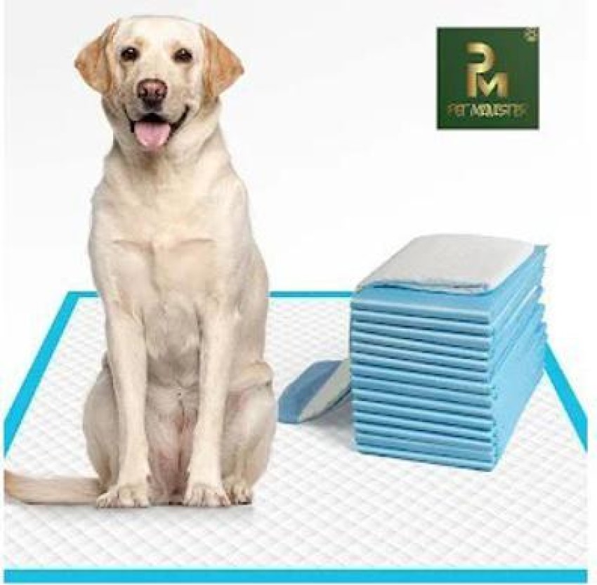 https://rukminim2.flixcart.com/image/850/1000/kzogn0w0/pet-diaper/r/o/f/2-5kg-dog-training-pad-40cm-x-60cm-pee-potty-quick-drying-original-imagbn8ee8xny4f5.jpeg?q=90