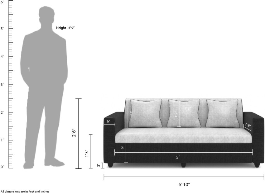 Standard Sofa Size In India | Baci Living Room