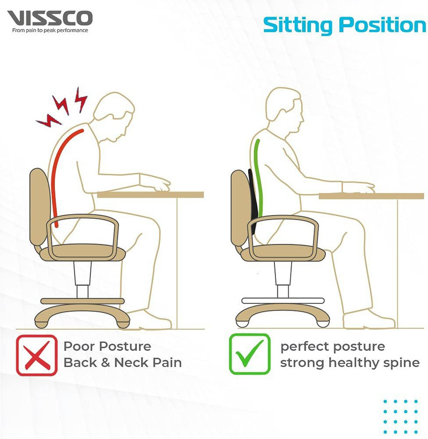 VISSCO Smart Orthopaedic Back Rest Pain Relief Pillow Car Seat