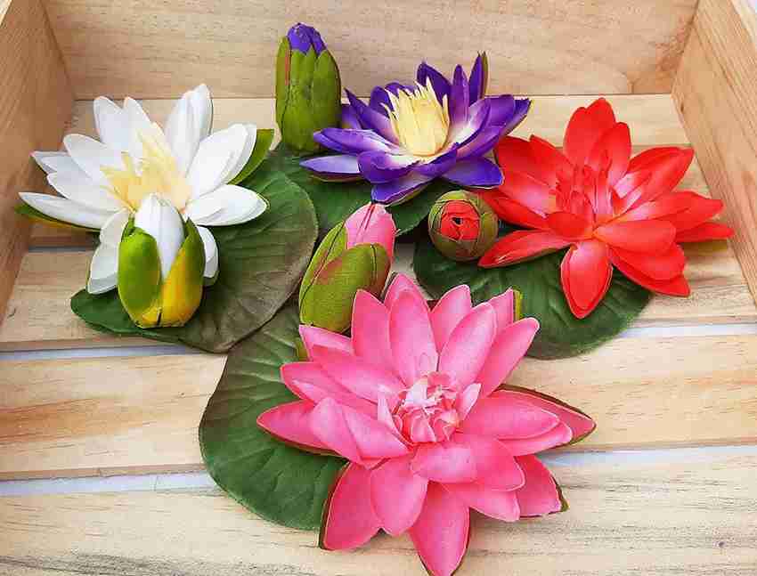 Lotus baratos store