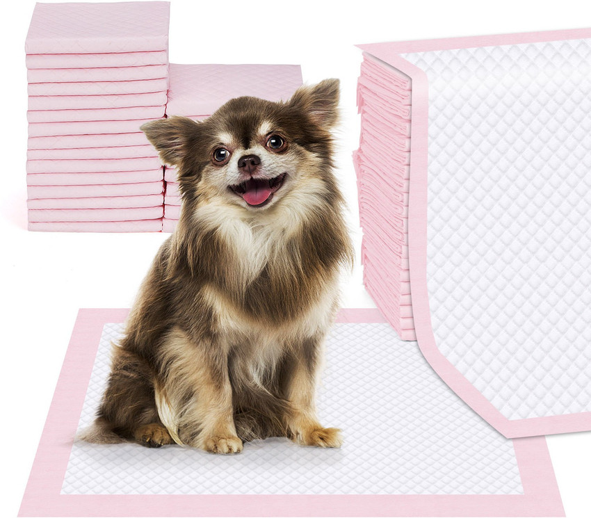 Dog potty outlet training diapers