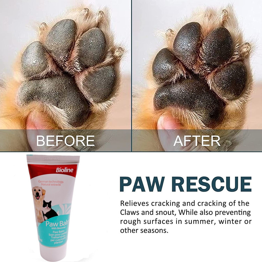 Paw protectant for dogs sales