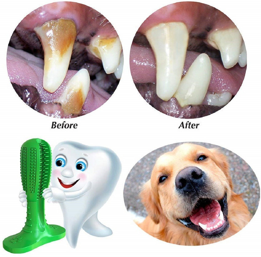 Dog tooth brushing stick shop