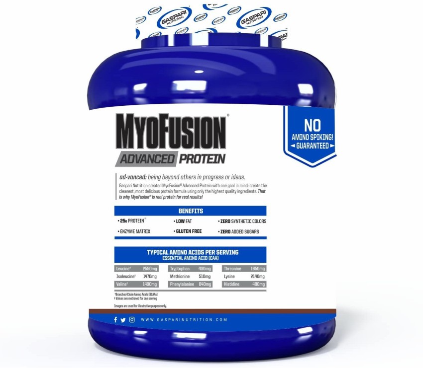 Myo-Vector Whey 5 Lb – Suplementos Hypertrophy