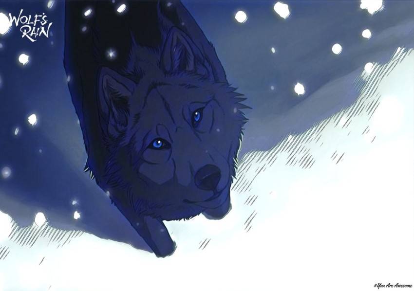 Guy wolf anime blue HD phone wallpaper  Peakpx