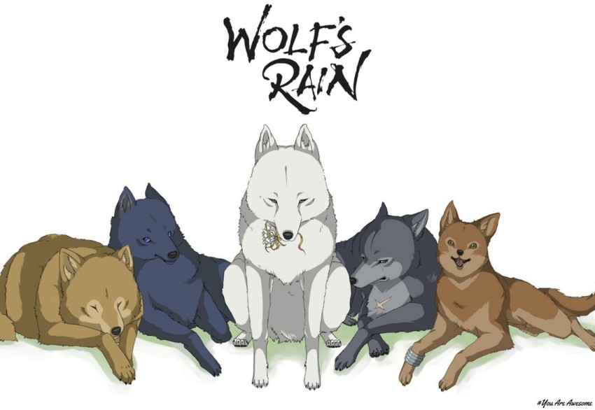 Top 10 Best Anime Wolf Girl Boy and Werewolf Anime