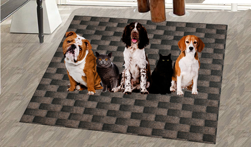 Washable pet mat sales