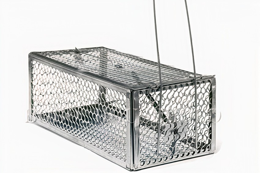 maanya Wooden Rat Trap/Cage/Mouse Catcher/Pinjra Snap Trap Price in India -  Buy maanya Wooden Rat Trap/Cage/Mouse Catcher/Pinjra Snap Trap online at