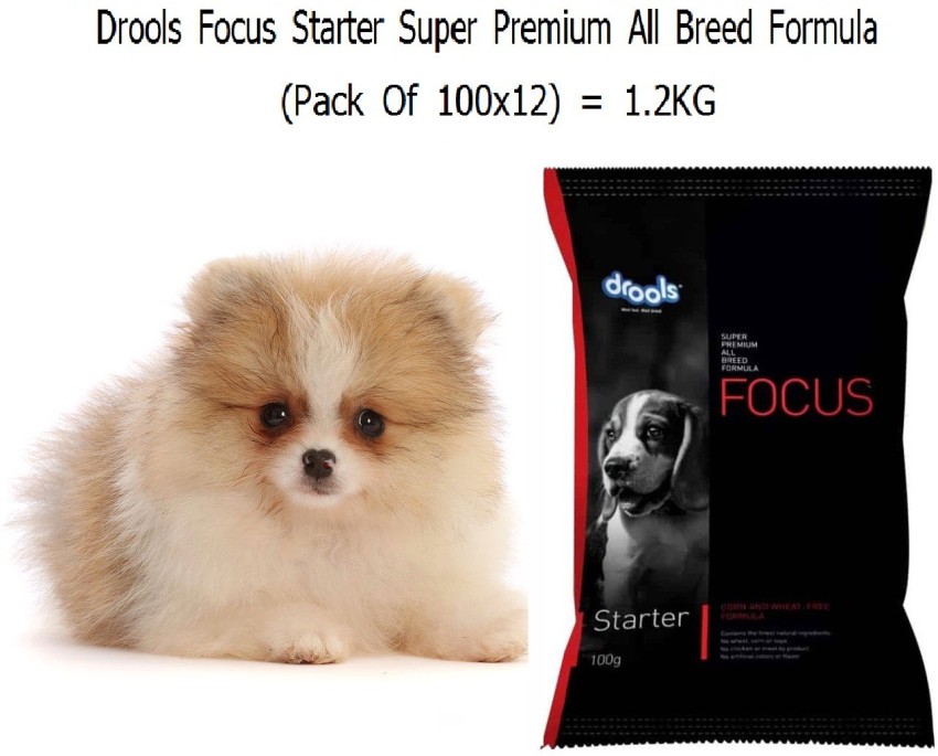 Drools starter dog food best sale