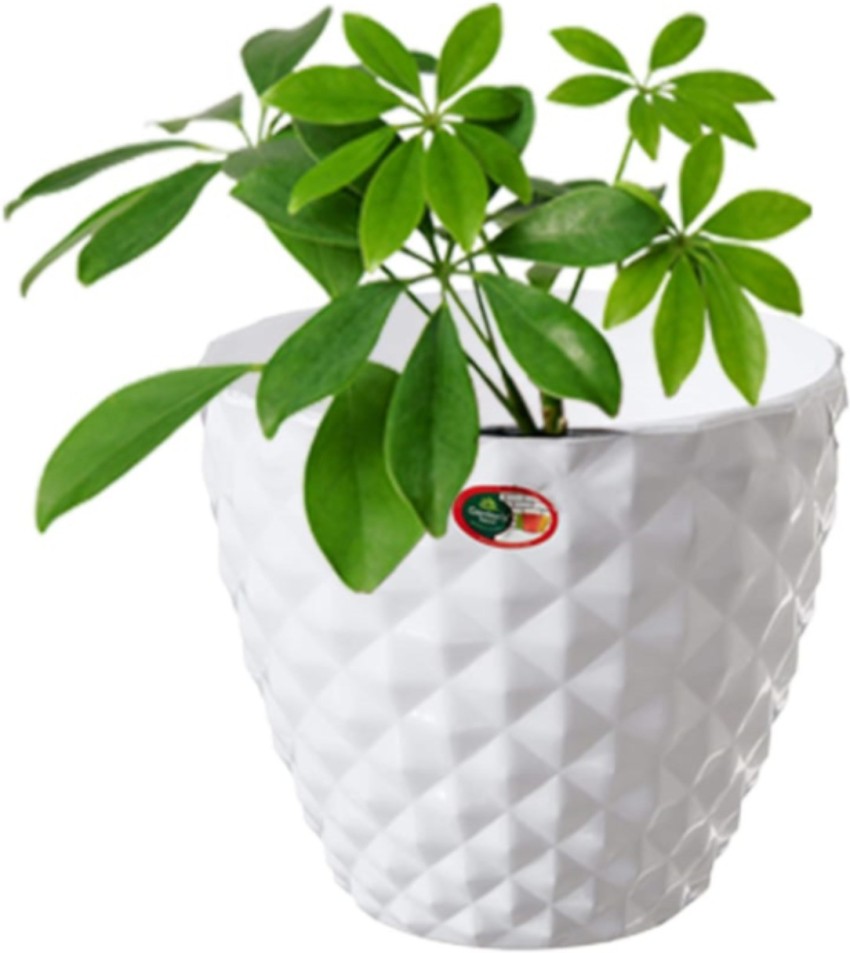 NUEVOSGHAR Planter pot cover Plant Container Set Price in India - Buy  NUEVOSGHAR Planter pot cover Plant Container Set online at