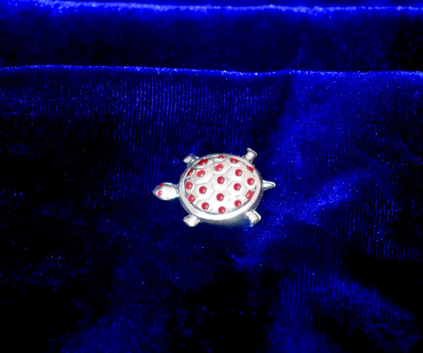 Chandi ka kachua ring price deals