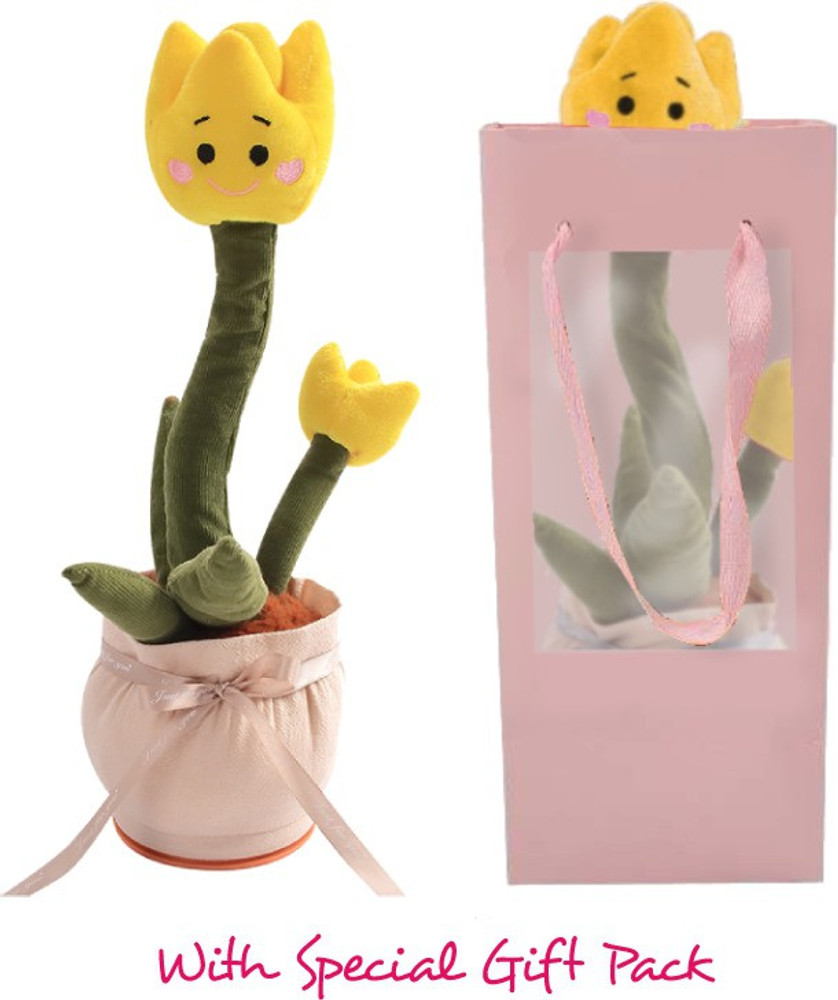 Voice shop repeater toy