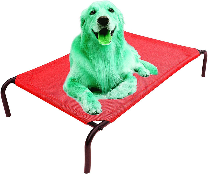 Cavalry Heavy Duty Steel Framed Portable Elevated Pet Bed Elevated Cooling Pet Cot S Pet Bed Price in India Buy Cavalry Heavy Duty Steel Framed Portable Elevated Pet Bed Elevated Cooling Pet Cot