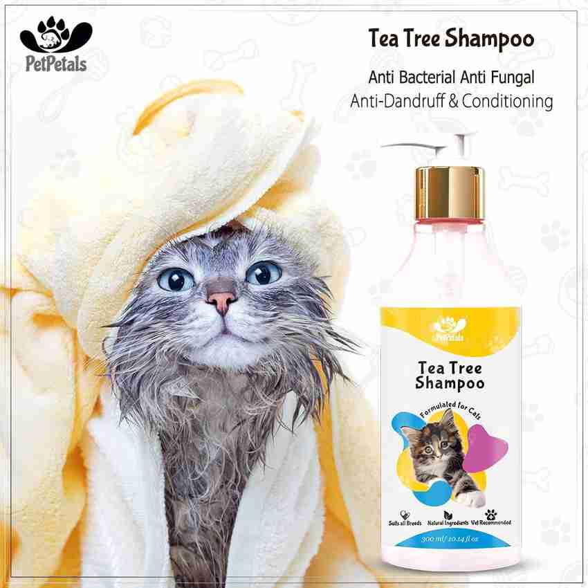 Cat allergy shampoo online