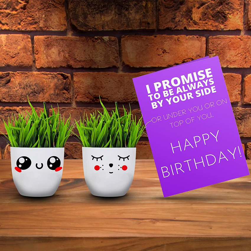 Share more than 156 plant gift delivery latest kidsdream.edu.vn