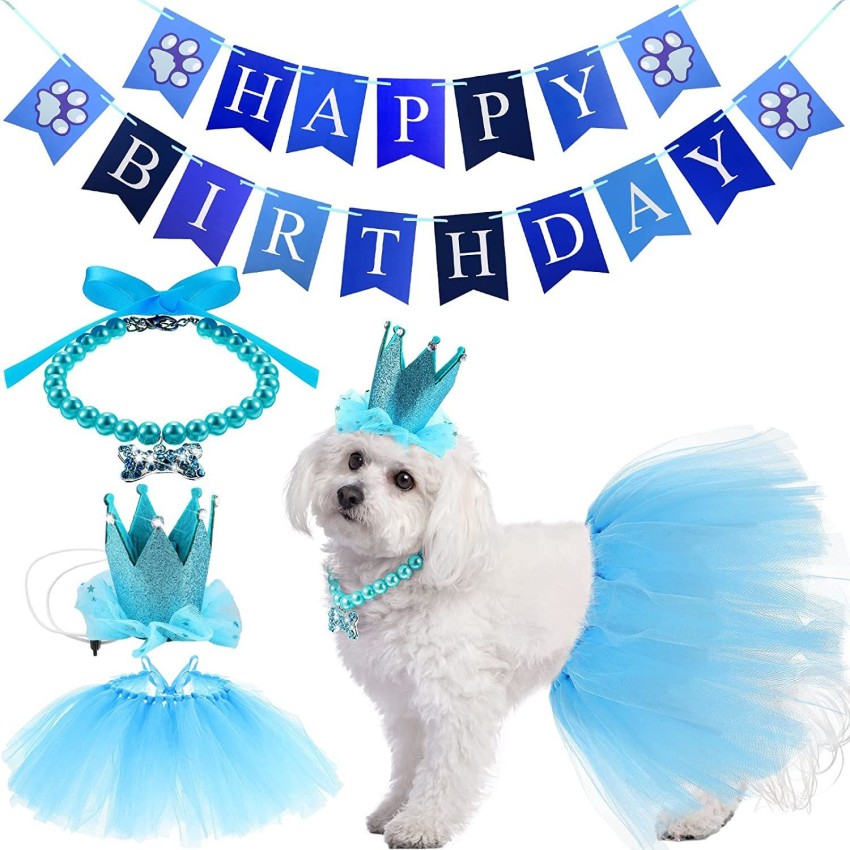 Dog best sale birthday outfit