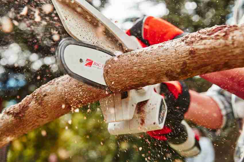 Mini on sale chainsaw rechargeable