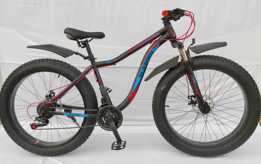 Sunbird cycle without top gear