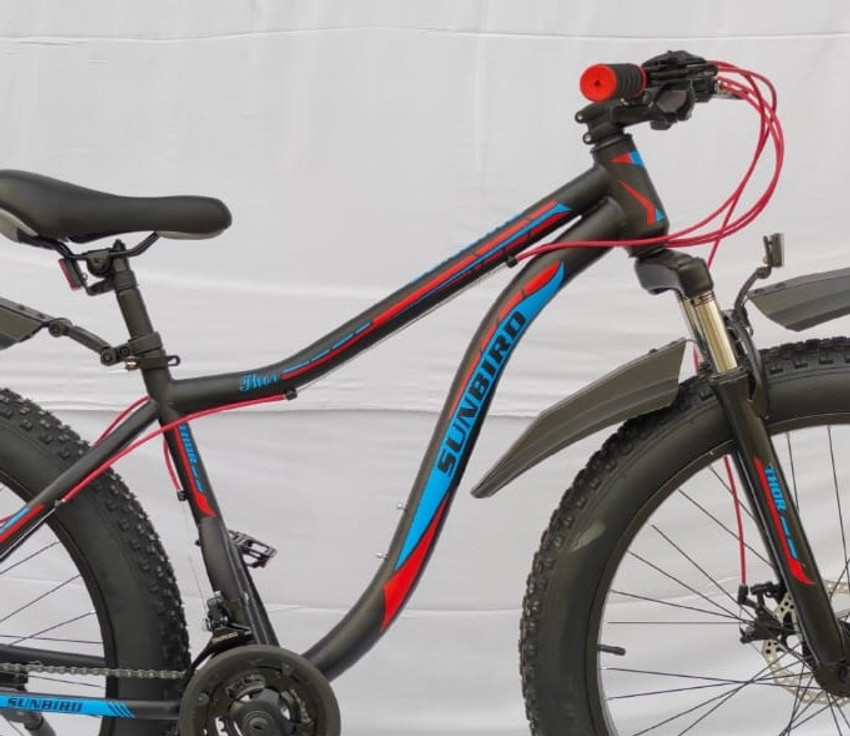 Sunbird cycle without top gear