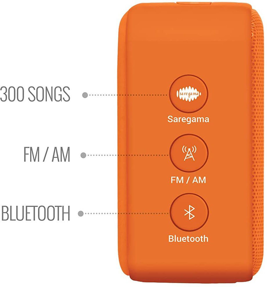 Saregama hotsell carvaan bhajan
