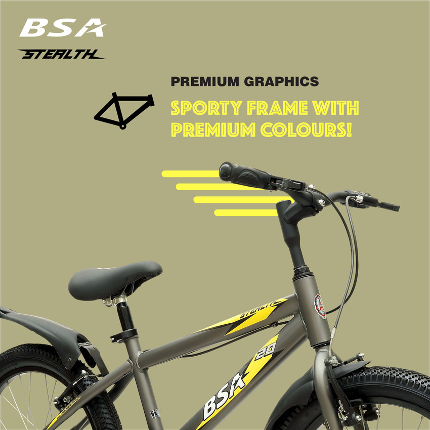 bsa normal cycle price