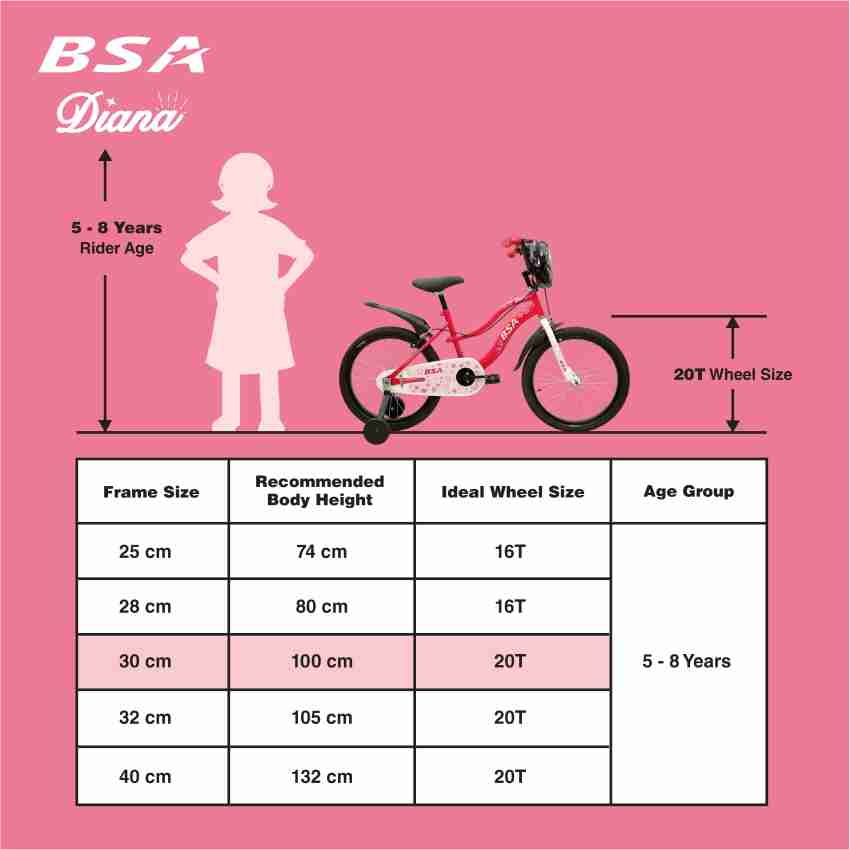 Bsa diana cycle price hot sale