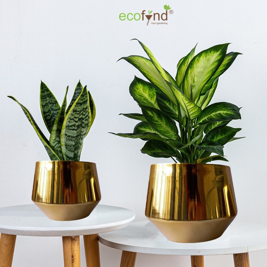 Grace Metal Small Decorative Modern Indoor Planters Flower Pots Pack Of 2  Gold