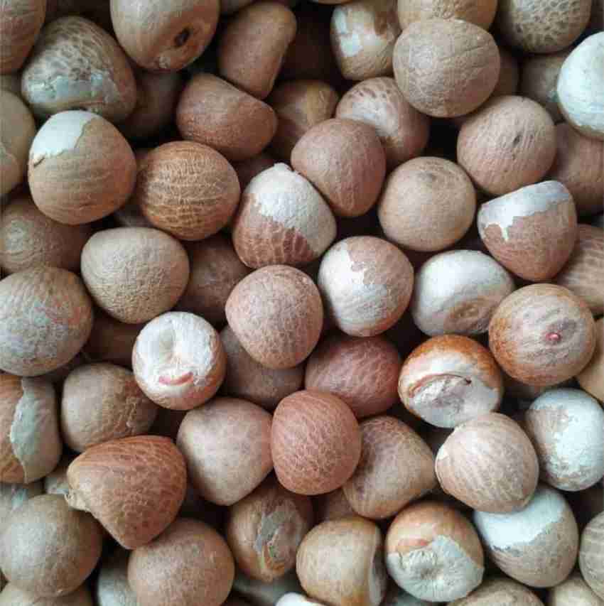 Betel nut outlet price today